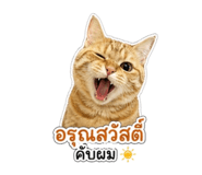 843541138