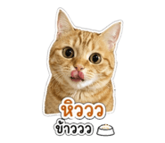 843541152
