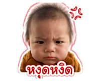 843542004
