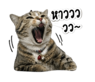 843542457