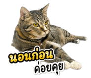 843542460