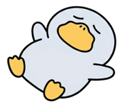 843542736