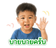 843542846