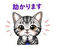 843543075