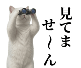 843543965