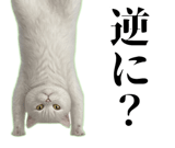 843543968