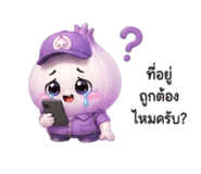 843545908