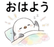 843547913