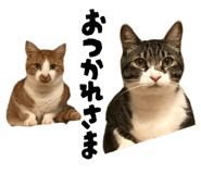 843548265