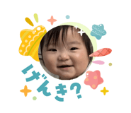 843548490