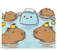 843548693