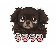 843549324