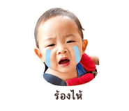 843550013