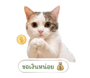 843550023