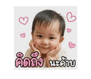 843550051