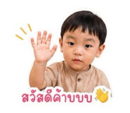 843550061