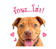 843550172
