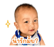 843551037