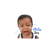 843551081