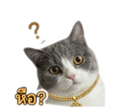 843551159