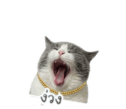 843551160