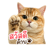 843551241