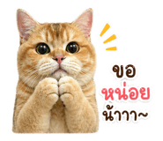 843551245