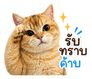 843551246