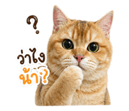 843551247
