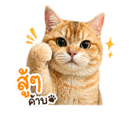 843551252
