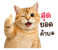 843551255