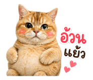 843551256
