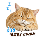 843551260
