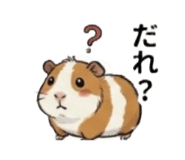 843551652