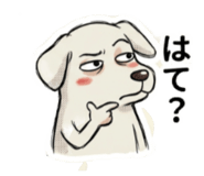 843551659