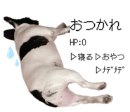 843551748