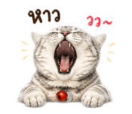 843551782
