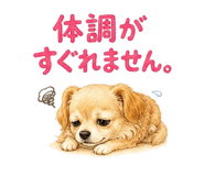 843551898