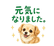 843551907