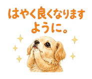 843551910