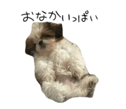 843551931