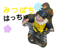 843552228