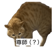 843552297