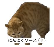 843552298