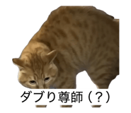 843552299