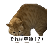 843552300