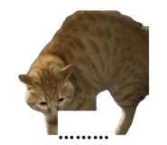 843552302