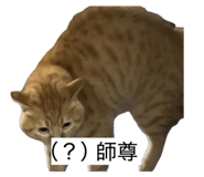 843552303