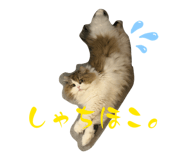 843552659
