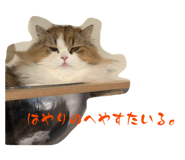 843552662